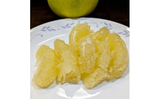 土佐市産 水晶文旦 約5kg (7～8玉）文旦 ぶんたん ブンタン すいしょうぶんたん ハウス栽培 甘い 高級 果物 柑橘 フルーツ 果物 ご当地 お取り寄せ ５キロ