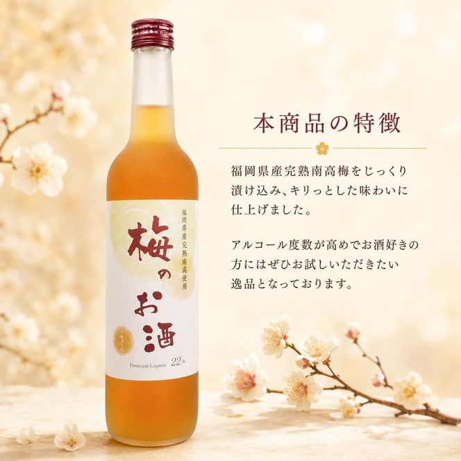 【数量限定】梅のお酒 500ml×2本セット 洋酒 リキュール 