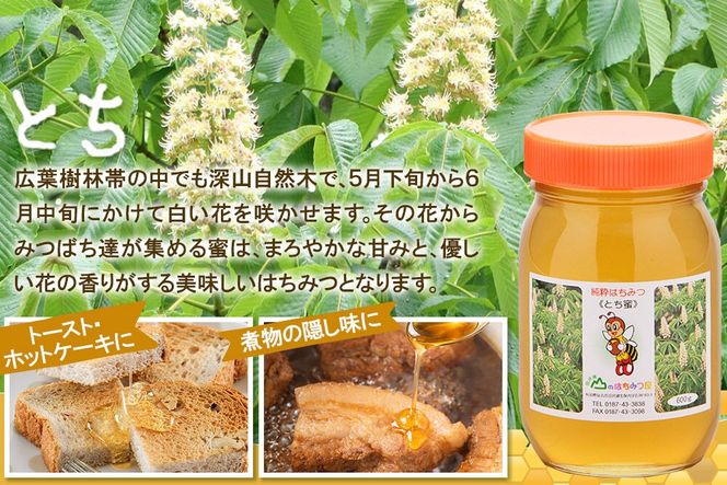 国産 はちみつ トチ 600g 2本セット 山のはちみつ屋 [はちみつ ハチミツ 蜂蜜 栃 とち]|02_bsk-060201