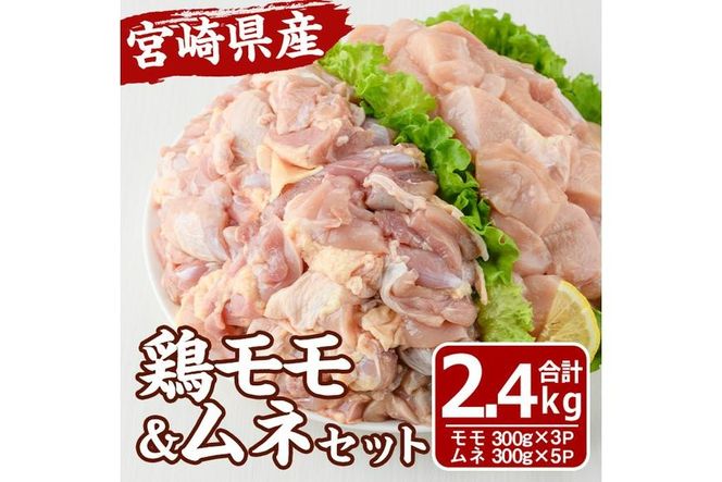 y{茧쒬z{茧Y {  ނ Zbg (v2.4kg) {  Ƃ  ؂g Jbg g 炠 Ⓚ  YyMF-62zyGt@[z