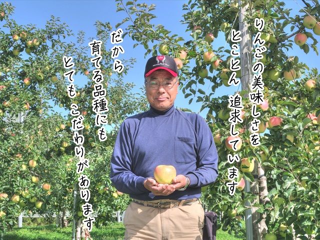 りんご 青森 ぐんま名月 リンゴ 約 5kg (12～16玉) 青森県 鰺ヶ沢町産 ヒバリノ園 フルーツ 果物 果物類 白神山地 林檎 ※オンライン決済のみ 