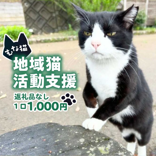 【返礼品なし】「「むな猫（旧：てくてくさくらねこ）」　地域猫活動支援【むな猫】_HA1118