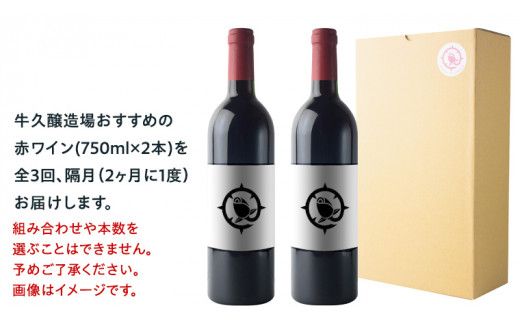 【 3ヶ月隔月 】 赤ワイン おまかせ 定期便 2本セット 飲み比べ 茨城県産 牛久醸造場 厳選 750ml × 2本 お酒 ワイン ワイン好き 初心者 上級者 贈り物 ギフト 詰め合わせ [BJ040us]