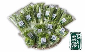 アグリー農園水耕栽培おまかせお野菜セット