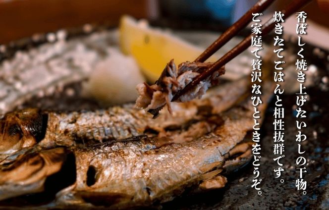 鐘崎漁師のおふくろの味 干物セット 6袋【道の駅むなかた】_HA1820