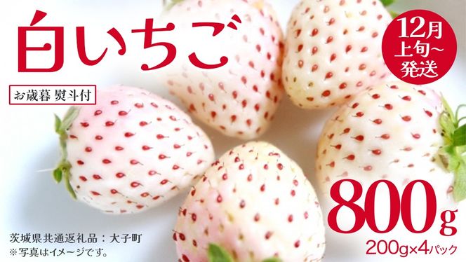 y錧vszy Ε lt z  200gi8`12j×4pbNy2025N12{Jnz(錧ʕԗiFq)   ʕ t[c ʎ p Mtg 蕨