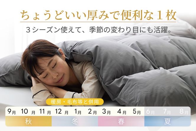 【春秋用】 洗える 羽毛布団 合掛け セミダブル ホワイトダックダウン85% 1.0kg 無地 グレー 中厚 春用 秋用 [川村羽毛 山梨県 韮崎市 20745418] 合い掛け 軽い羽毛 布団 コインランドリー 掛け布団 ダウンかけ布団 ふとん 羽毛ふとん 合掛け布団 エクセルゴールドラベル