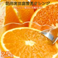 とにかくジューシー清見オレンジ　2.5kg