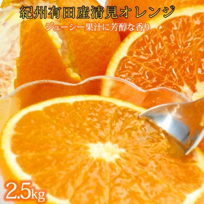 とにかくジューシー清見オレンジ　2.5kg