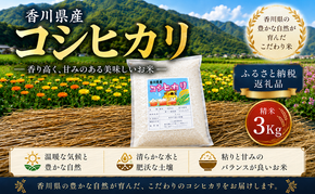 香川県産コシヒカリ（精米3kg）米 白米 お米