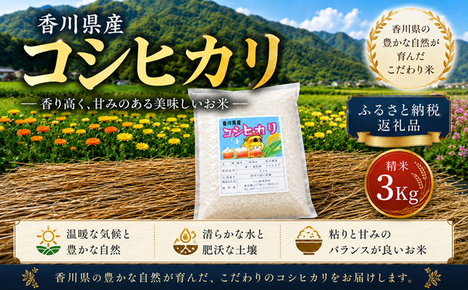 香川県産コシヒカリ（精米3kg）米 白米 お米