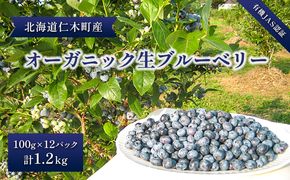 [2026年発送]【有機JAS認証】北海道仁木町産オーガニック生ブルーベリー 100g×12パック 計1.2kg 果物 フルーツ 有機栽培 安心安全 樹上完熟 手摘み [株式会社 自然農園]
