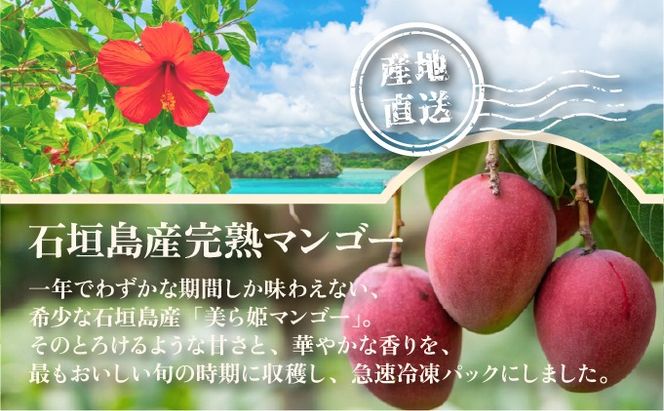 冷凍美ら姫マンゴー 1kg（500g×2袋）CB-3