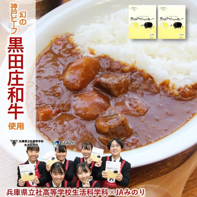 《ビーフカレー＆ミートソース各2食》黒田庄和牛ぎゅぎゅっとセット（tokusan-67）