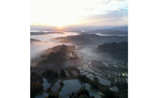 令和7年産！魚沼産こだわり従来コシヒカリ【農家直送!】5kg×1袋 お米 米 コメ 