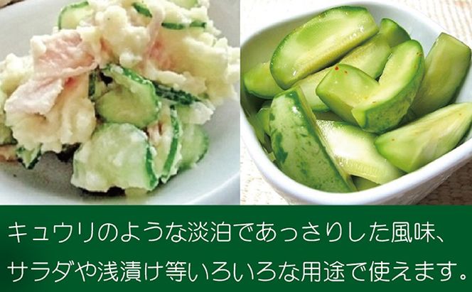 『クラウンメロンの子メロン』 メロン 人気 厳選 ギフト 贈り物 デザート グルメ フルーツ 果物 袋井市 果物類 メロン青肉 