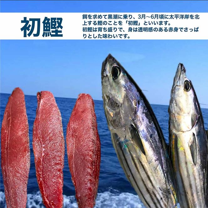 ★数量限定★≪ヤマシン≫ 初鰹のわら焼きタタキ 2節 ※新にんにく1玉付き※ 本場 高知 たたき タタキ かつお 鰹 カツオ タレ付 魚 海鮮 わら焼き 冷蔵 ニンニク にんにく 自慢 人気 送料無料 高知県 田野町 17500円