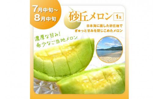 【先行予約／フルーツ定期便4回】旬の果物厳選！京丹後フルーツ王国セット（完熟イチゴ・メロン・シャインマスカット・二十世紀梨）（2027年2月中旬～発送）