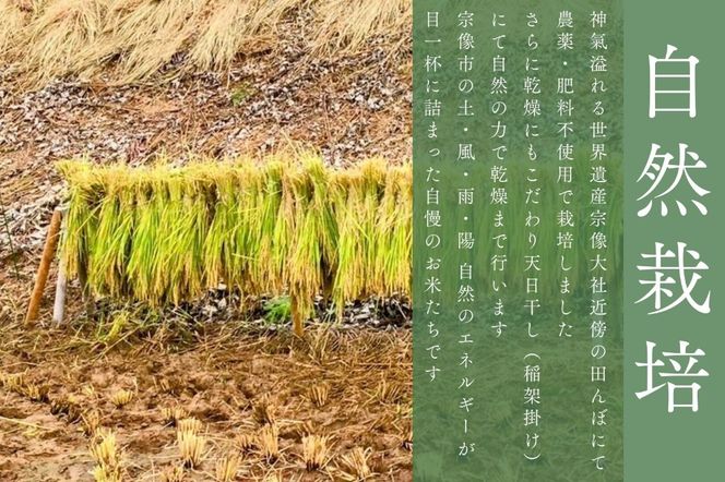 天日干し米ひのひかり5kg〈栽培期間中農薬・肥料不使用〉【ほのわ】_HA1610