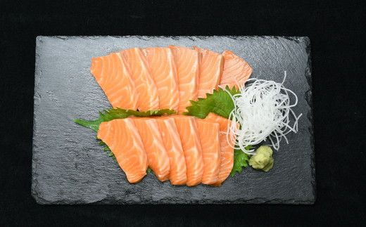 トラウトサーモン プレミアムグレード 700g（刺身 サーモン 冷凍 鮭 トラウトサーモン 寿司 海鮮 炙り カルパッチョ マリネ）【002269】