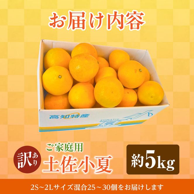 【先行予約】＜白木果樹園＞ 土佐小夏 訳ありご家庭用 約5kg〈2027年5月下旬～6月下旬頃発送〉  / 5キロ こなつ 柑橘 かんきつ 柑橘類 フルーツ 日向夏 ニューサマーオレンジ 西内小夏 果物 くだもの【白木果樹園】 [BQAI034]