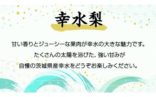 ≪先行予約≫ 茨城県産 梨 幸水 （約 5kg） 【 2026年 8月下旬頃より発送開始 】 梨 なし 果物 フルーツ 新鮮 旬 期間限定 甘い 国産 [CK001us]