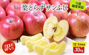 りんご【12月・1月発送】蜜入り 糖度13度以上 訳あり 家庭用 葉とらず サンふじ 約10kg【青森りんご 果物 フルーツ デザート 食後 おやつ 産地直送】