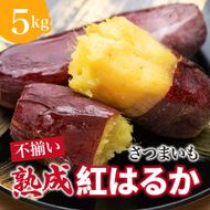 【先行予約】 にかほ市 象潟町 大須郷産「 さつまいも 2ヶ月 熟成 紅はるか 不揃い 5kg 」【 産地直送 国産 芋 おいも 定番 焼き芋 イモ 野菜 不揃い 長期熟成 秋田県 にかほ】