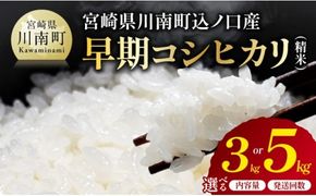 ※選べる内容量・発送回数※　宮崎県産　早期コシヒカリ（精米）3kg/5kg 【 令和8年産 米 お米 白米 精米 国産 宮崎県産 こしひかり おにぎり 】ⅠⅧ [B13301 B13301t3 B13302 B13302t3]