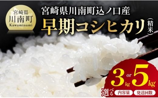 ※選べる内容量・発送回数※　宮崎県産　早期コシヒカリ（精米）3kg/5kg 【 令和8年産 米 お米 白米 精米 国産 宮崎県産 こしひかり おにぎり 】ⅠⅧ [B13301 B13301t3 B13302 B13302t3]