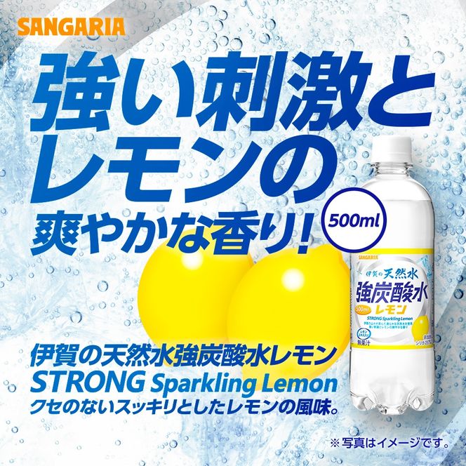 【6ヶ月定期便】サンガリア　伊賀の天然水　強炭酸水　レモン　1ケース（1L×12本）【igge-tkb0015】