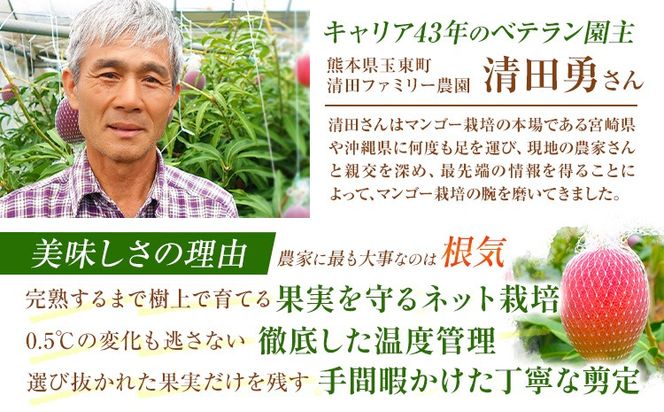 くまもと完熟マンゴー 2～3玉(約1kg～1.2kg前後) 熊本県玉名郡玉東町『清田ファミリー農園』マンゴー 完熟 秀品【日付指定不可】《5月下旬-8月末頃出荷》---gkt_kyfm_2_1kg---
