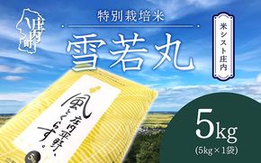 米シスト庄内 庄内平野、風と暮らす 雪若丸 5kg 特別栽培米 令和7年産 2025年産 ブランド米 コシヒカリの原点、亀の尾発祥の地 庄内