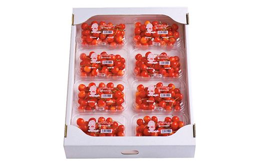 FYN6-533 ≪2026年先行予約≫ご家庭用 山形県産 さくらんぼ 品種おまかせ(佐藤錦・紅秀峰など) 1.44kg(180g×8P) 丸秀 L以上 フードパック詰め 2026年6月中旬頃より発送 果物 くだもの フルーツ サクランボ チェリー 家庭用 自宅用 産地直送 山形県 西川町 月山