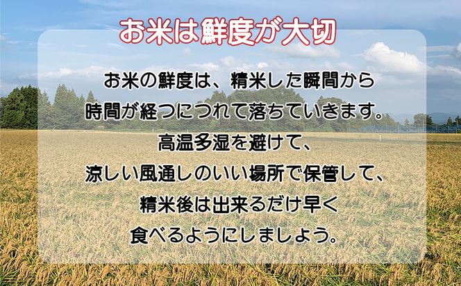 令和7年産花巻産銀河のしずく 5㎏ 【2369】