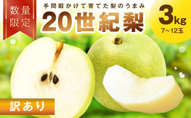 【先行予約／数量限定100】訳あり 廿世紀梨 3kg（2026年9月上旬～発送） フルーツ くだもの 国産 梨 二十世紀 20世紀 廿世紀 ふるさと 納税 梨 ふるさと納税 フルーツ ふるさと 納税 20世紀梨 わけあり ワケアリ 訳有り　FK00034