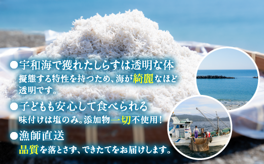 【佐田岬・漁師直送】【3ヵ月連続定期便】 木嶋水産の釜揚げしらす 6kg（1回250g×8P×3回) ｜ 魚介類 海産物 魚 釜揚げ しらす シラス 小分け やみつき ご飯のお供 おつまみ 酒の肴 おやつ しらす丼 サラダ 海産物 冷凍 国産 愛媛県産 ※離島への配送不可