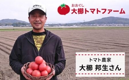 【先行予約】【甘くて濃厚】大玉 トマト 2kg 糸島産 【2024年11月以降順次発送】《糸島》 【大櫛トマトファーム】 [AQH001]