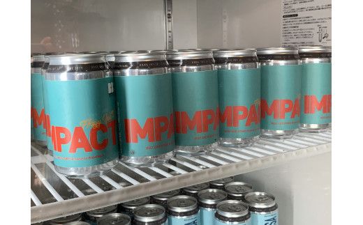 花巻産クラフトビールおまかせ４本セット（350ml×4） 【1816】