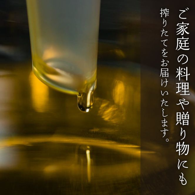 エゴマ油 100g 国産 受付後搾油 農薬・化学肥料不使用 食用油 エゴマ油 健康 南知多町産 調味料 愛知県 南知多町 人気 おすすめ