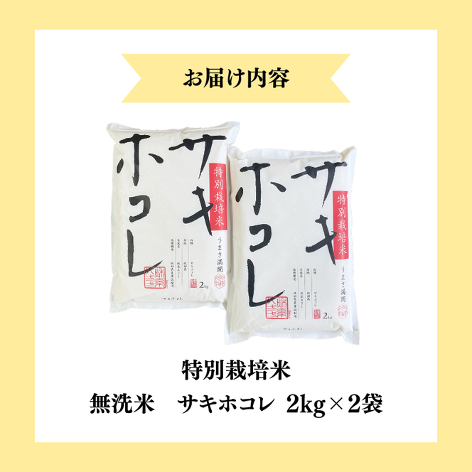 【令和7年産】【無洗米】特別栽培米サキホコレ4kg（2kg×2）米 コメ こめ 秋田県産 国産米