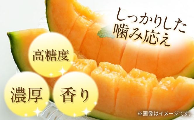 【2026年5月〜発送】訳あり タカミメロン レッド 2箱 （1箱 3～6玉）/ メロン めろん フルーツ 果物 / 南島原市 / 南島原果物屋[SCV037]