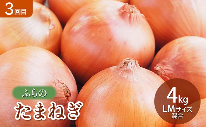 【2026年夏～秋発送】 定期便 3ヵ月 旬を味わう 基本野菜セット 全3回（ 野菜 新鮮 直送 とうもろこし じゃがいも 男爵 玉ねぎ 道産 ふらの 送料無料 数量限定 先着順 富良野市 ）