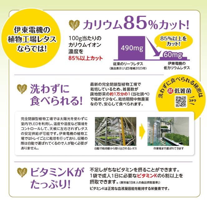 レタス 低カリウムレタス 4個入り カリウム85%カット 洗わず食べられる ビタミンK 植物工場 兵庫県 加西市 リーフレタス 栽培期間中 無農薬