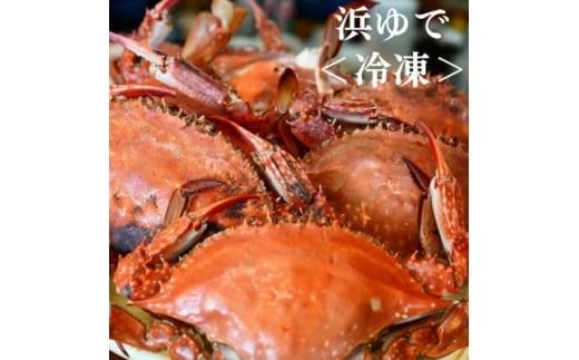 浜ゆでワタリガニ(大サイズ)1kg3～5杯 冷凍便＼特製三杯酢付き/