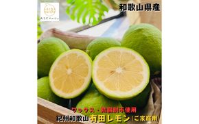 紀州和歌山 ご家庭用 有田 レモン 1.5kg+200g(痛み補償分)【防腐剤・ワックス不使用】【農家直送】【訳あり】 ※着日指定不可 ※2026年9月下旬～2027年3月下旬に順次発送予定【ard188A】