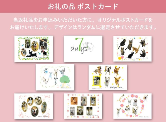 犬猫保護活動への支援 2000円 [NPO法人セブンデイズ 福岡県 筑紫野市 21761488] 保護 動物 犬 猫 犬猫 保護犬 支援 応援 イヌ ネコ いぬ ねこ ペット動物愛護 愛護 保護活動