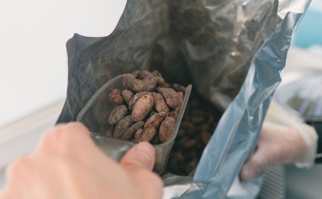 チョコレート SUNNY CHOCOLATE クラフトチョコレート【アソート缶 （3種 12枚入）+「豆 -Mame- /ピーナッツチョコレート」】 チョコ お菓子 落花生 アソート 墨田区 東京都