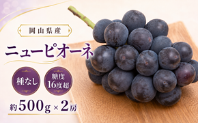 ぶどう 2026年 先行予約 ニュー ピオーネ 約500g×2房 種無し ブドウ 葡萄  岡山県産 国産 フルーツ 果物 ギフト デザート 果実 美しい 大粒 高糖度 皮ごと 食べ応え 芳醇 甘い 果汁 食べやすい 大人気