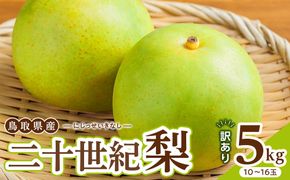 1264.【2026年度発送先行予約】訳あり　二十世紀梨　5kg 313726_CS007